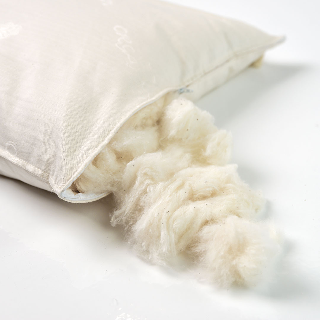 Cuscino cotone